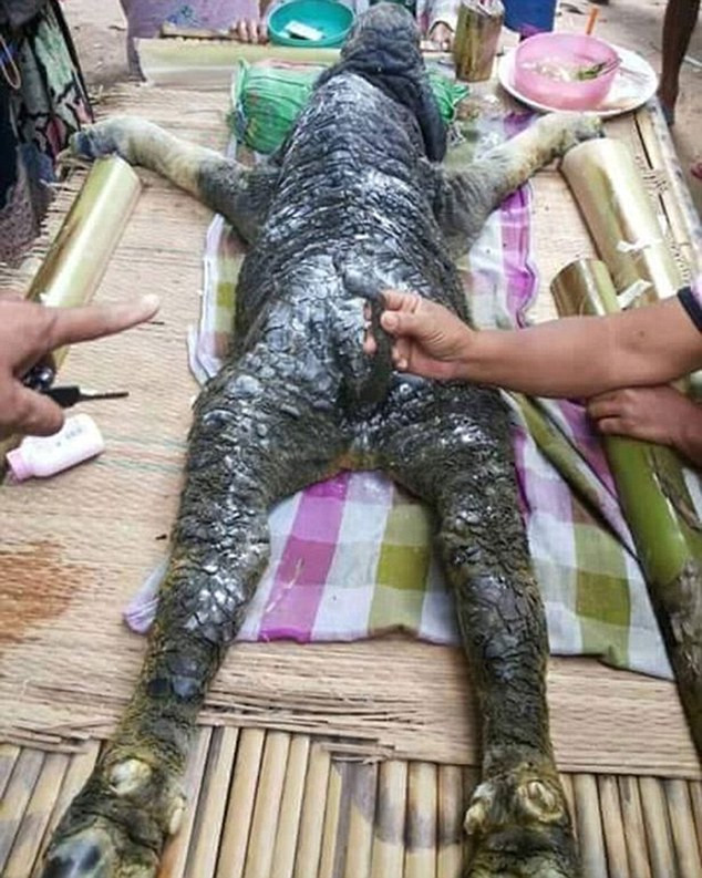 Creatura misterioasa descoperita de niste localnici, in Thailanda: de ce s-au speriat cand au vazut "monstrul". FOTO