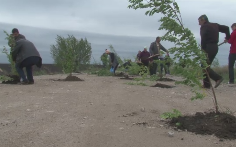 Salcami in gropile de pe sosea. Protestul inedit pus la cale de un primar din Botosani, suparat pe autoritati