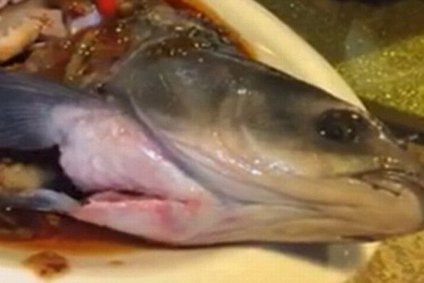 Socul pe care l-a avut acest client, intr-un local din China. Momentul in care pestele gatit incepe sa se miste in farfurie