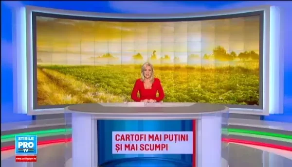 Motivul pentru care cartofii romanesti vor fi de 2 ori mai scumpi fata de anul trecut