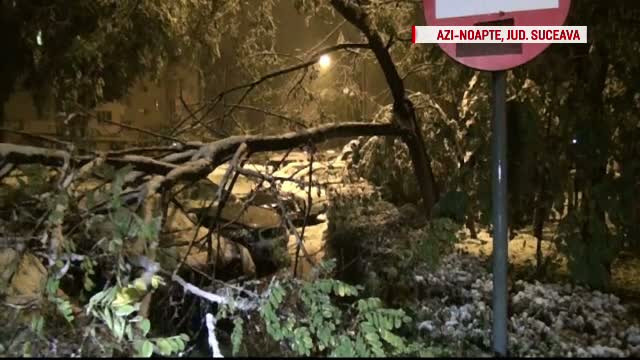 Nordul Moldovei, afectat de lapovita si ninsoare. 40 de localitati au ramas fara electricitate si patru scoli au fost inchise