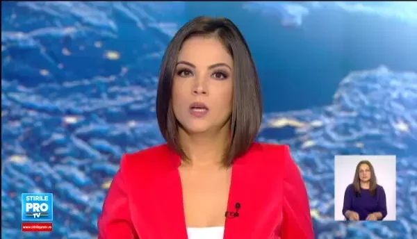 Dupa ce au trait ultimii 2 ani intr-o cusca de cativa metri patrati, leii de la ZOO Baia Mare vor avea o batranete linistita