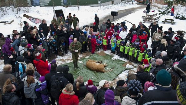 O gradina zoologica intentioneaza sa disece un leu in fata vizitatorilor copii. Cum explica proprietarul decizia