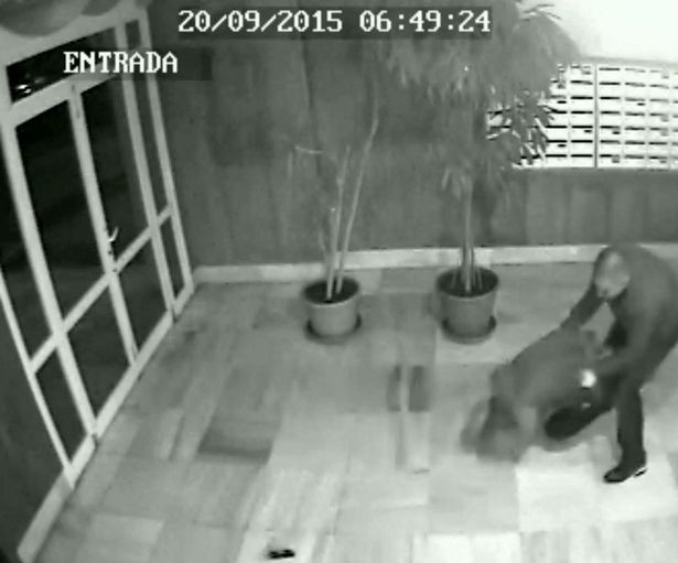 Un Dj din Ibiza a fost batut si muscat de fata de un canibal. Momentul a fost surprins de camerele de supraveghere. VIDEO