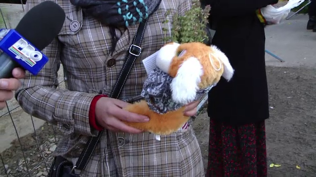 Sfanta Parascheva pelerinaj - stiri