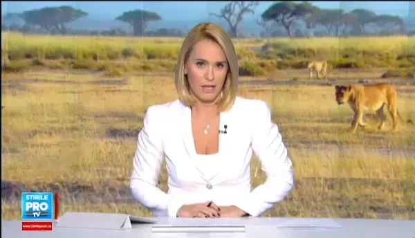 Cei 5 lei de la Gradina Zoologica din Baia Mare pleaca in Africa de Sud. Despartire emotionanta de veterinarul lor