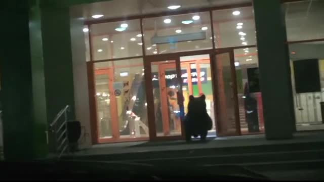 Panica intr-un mall din Rusia. Ce animal periculos s-a plimbat printre rafturile unui magazin. VIDEO