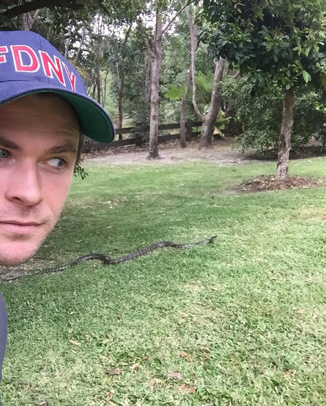 Actorul Chris Hemsworth a debutat pe Instagram cu o fotografie care i-a ingrijorat pe fani. Ce a surprins in curtea sa