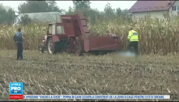 Executorul care a pus la plata Ministerul Sanatatii, acuzat ca ar fi ajutat un rival al interlopului Bercea Mondialu