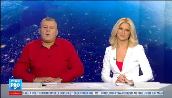 Imagini adorabile cu un pui de urs koala. Ce a facut animalutul cand a fost mutat intr-un nou tarc, la gradina zoologica