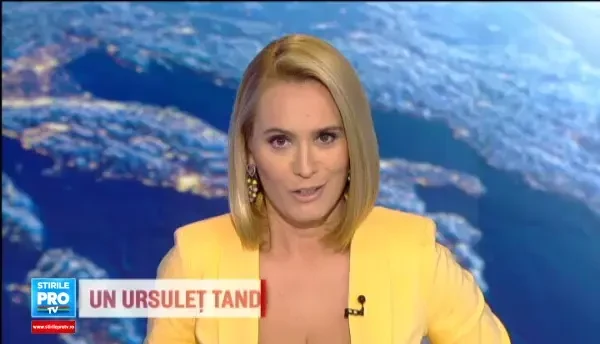 Un nou scandal international zguduie Germania. Nemtii sunt acuzati ca au dat mita pentru a organiza Mondialul din 2006