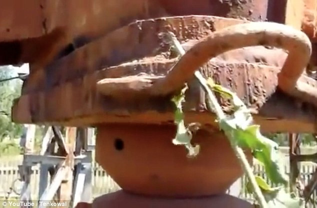 Imagini incredibile. Doi ucraineni reusesc sa asculte radio atingand o antena de 50.000 de Wati cu un fir de iarba. VIDEO