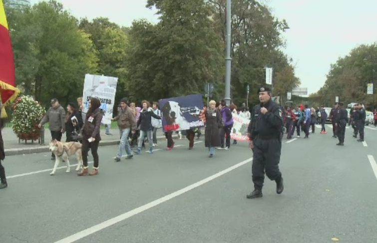 Protest in Bucuresti si in alte capitale europene fata de cruzimea impotriva animalelor. Ce pedepse cer organizatiile