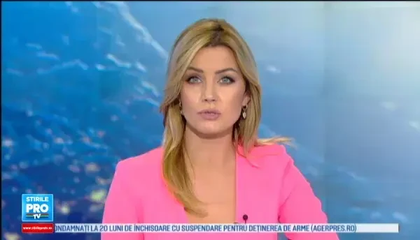 Orasul din Romania unde cainii au nevoie de bilet de autobuz pentru a calatori legal. Ce trebuie sa stie stapanii