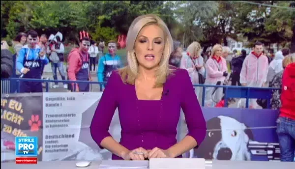 Protest in Bucuresti si in alte capitale europene fata de cruzimea impotriva animalelor. Ce pedepse cer organizatiile