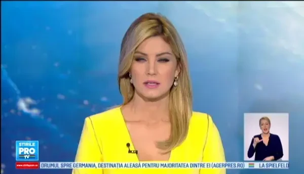 Operatiune de salvare pe malul raului Bega. Pompierii au recuperat un caine care agoniza de cateva zile sub dalele de beton