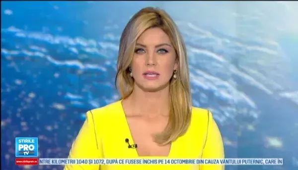 Un cersetor roman din Paris si-a recapatat cainele la o luna dupa ce activistii i l-au smuls din brate. Cum a reusit