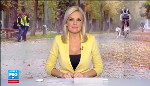 Zeci de caini Husky, Samoyed si Malamut, la concursul canin din Cluj. Competitia a atras sute de admiratori ai acestor rase