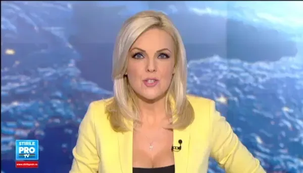 Pisicile ce danseaza la indicatiile stapanei, care au cucerit internetul. VIDEO