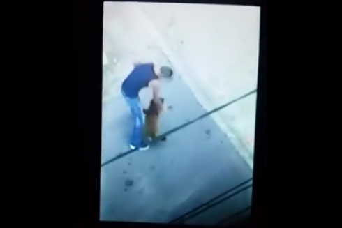 Imaginile care au starnit revolta pe internet. Caine batut cu salbaticie de un barbat, in Caras Severin. VIDEO