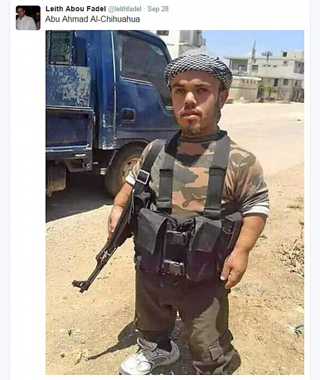 jihadist pitic
