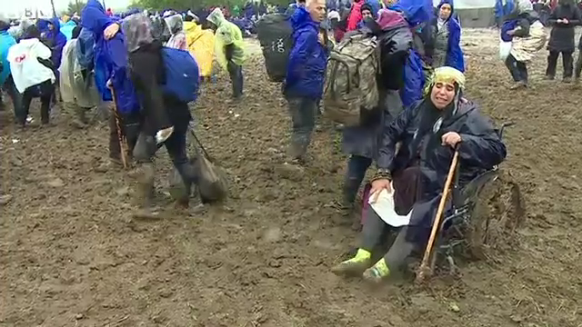 migranti