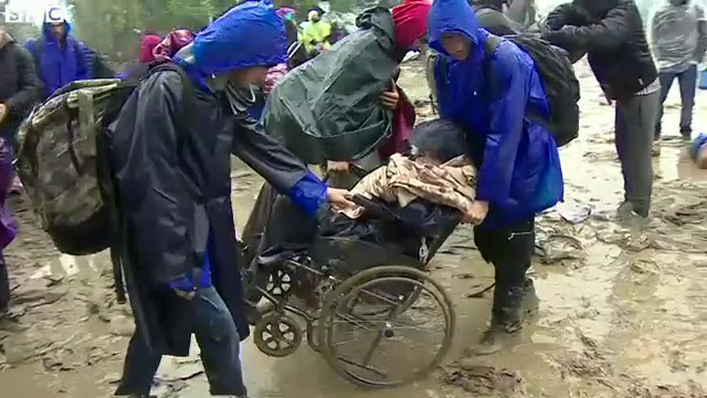 migranti