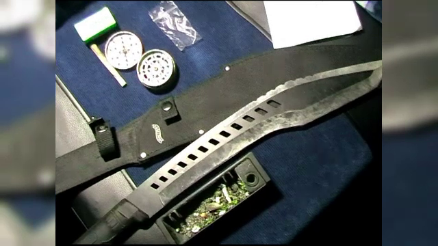 Tigari cu etnobotanice si o maceta de jumatate de metru gasite de politistii din Galati, in masinile unor tineri