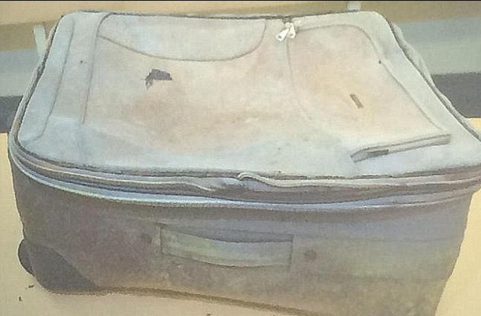 Descoperirea care ar putea rezolva crima care a socat Australia. Indiciul-cheie pe care criminalistii l-au cautat 7 ani