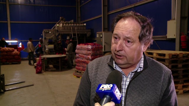 Soiul de cartofi cu care fermierii din Romania au dat lovitura. Se vand la pret dublu si sunt la mare cautare in restaurante