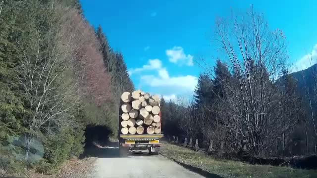 Misiune imposibila: oprirea unui transport de lemn taiat ilegal. Ultimele paduri virgine ale Europei, in pericol sa dispara