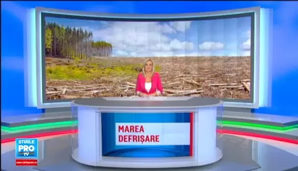 Misiune imposibila: oprirea unui transport de lemn taiat ilegal. Ultimele paduri virgine ale Europei, in pericol sa dispara