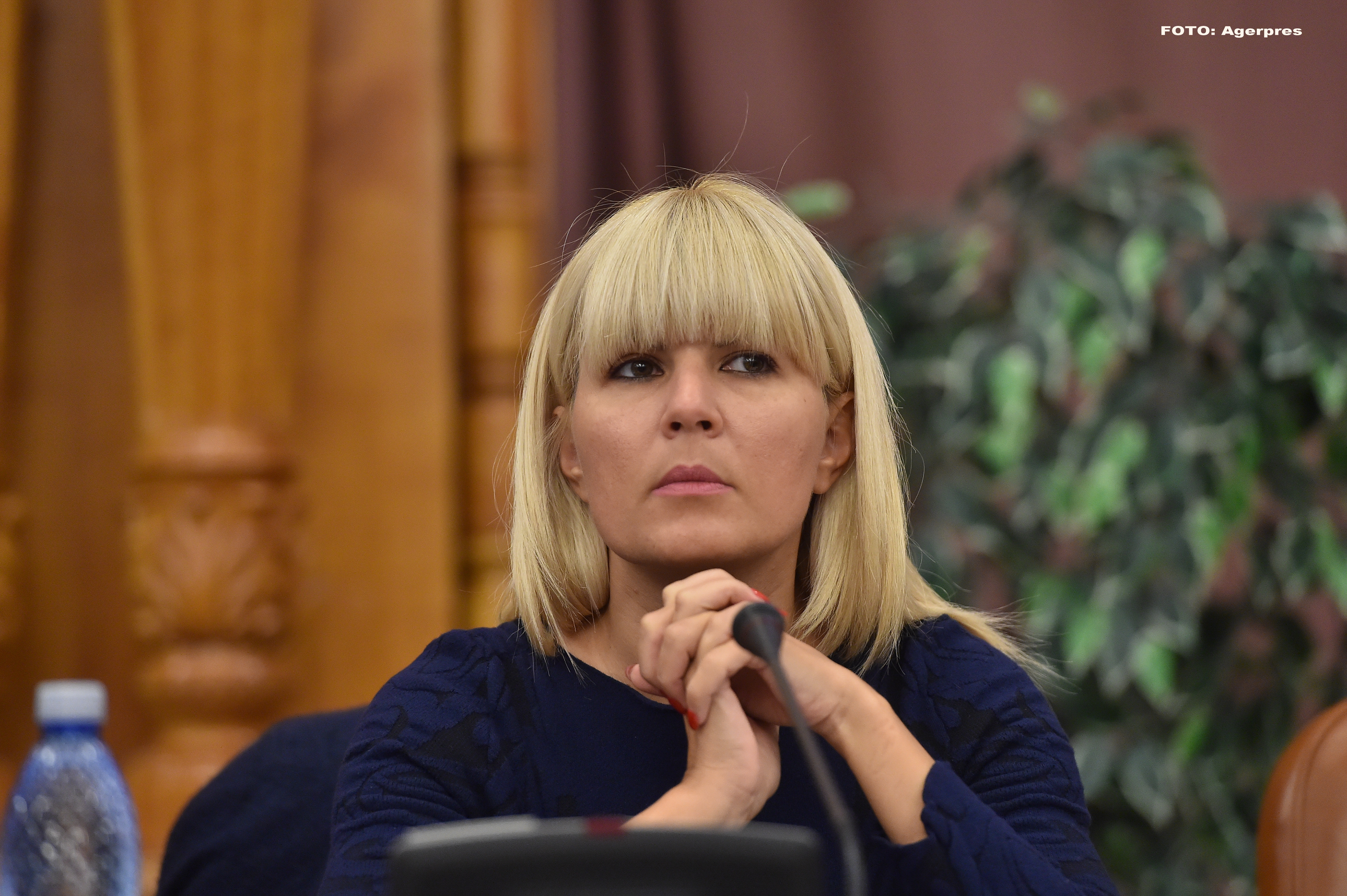 Comisia juridica a Camerei Deputatilor a aprobat cererea de incuviintare a urmaririi penale a Elenei Udrea