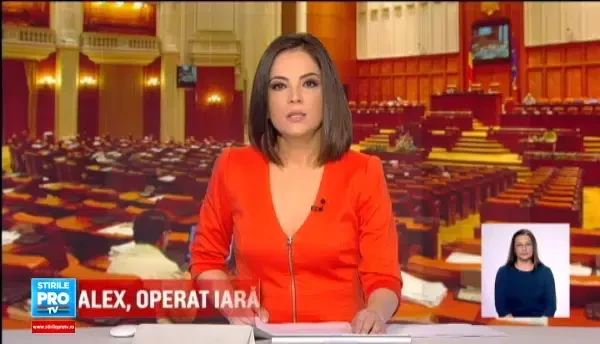 Comisia juridica a aprobat cererea privind inceperea urmaririi penale a Elenei Udrea