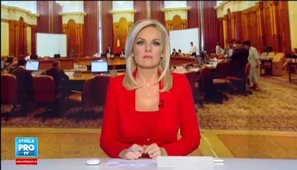 Elena Udrea afla saptamana viitoare daca va fi arestata pentru noul dosar. Ce a declarat fostul ministru in fata deputatilor