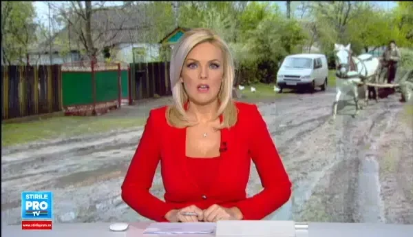 Cruzime de nedescris in Maramures. Doua bestii au chinuit cu drujba si securea un cal, pentru a se razbuna pe stapan