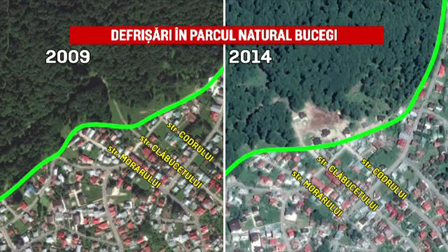 Proiecte imobiliare in Muntii Bucegi. Teren de casa la 100 de metri de Sfinx, teren de fotbal in locul padurii