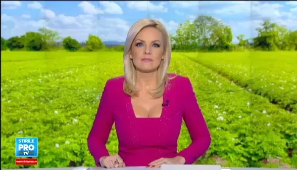 Soiul de cartofi cu care fermierii din Romania au dat lovitura. Se vand la pret dublu si sunt la mare cautare in restaurante