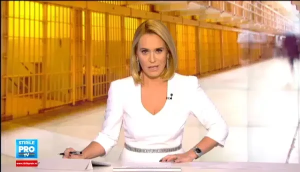 Ioan Niculae, ultima persoana de pe lista celor denuntate la DNA de Dorin Cocos. Doi fosti ministri, audiati in dosar