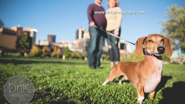 Au vrut sa-si faca o sedinta foto romantica si au luat si catelul cu ei. Cand au vazut pozele au ras cu lacrimi