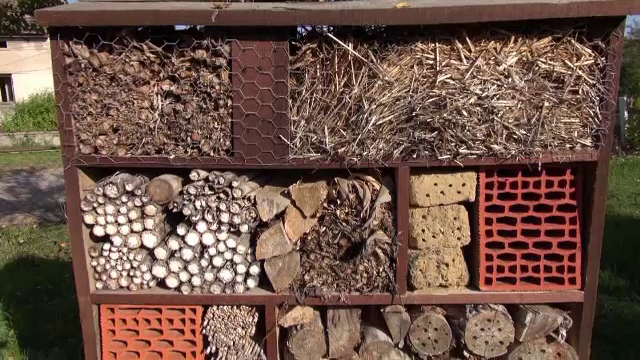 In vizita la hotelul pentru insecte, o solutie care ne scapa de pesticide. Proiectul inceput cu 74.000 de euro din fonduri UE