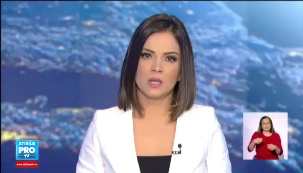 Pisicutele Uber au inveselit angajatii din 55 de orase americane. Cat costa o sesiune de joaca de 15 minute