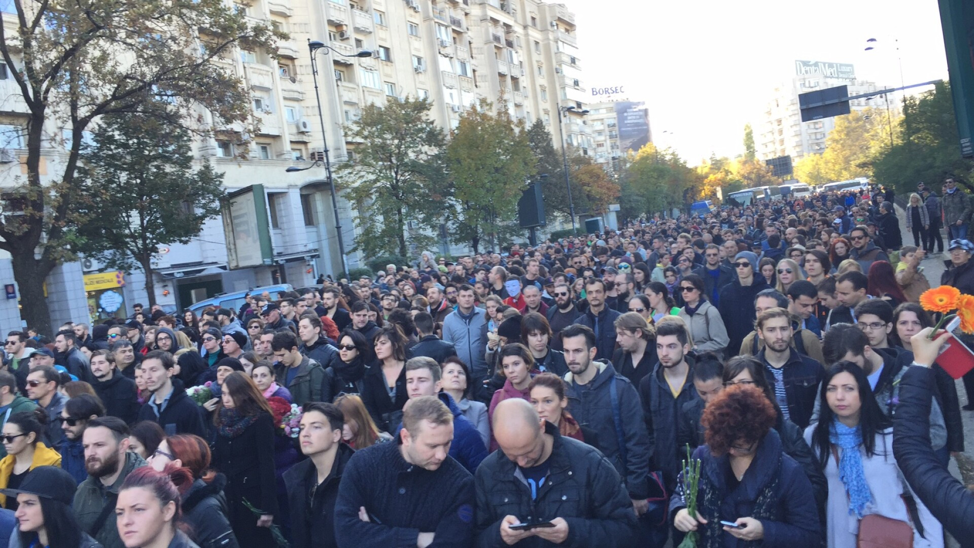 marsul tacerii, capitala