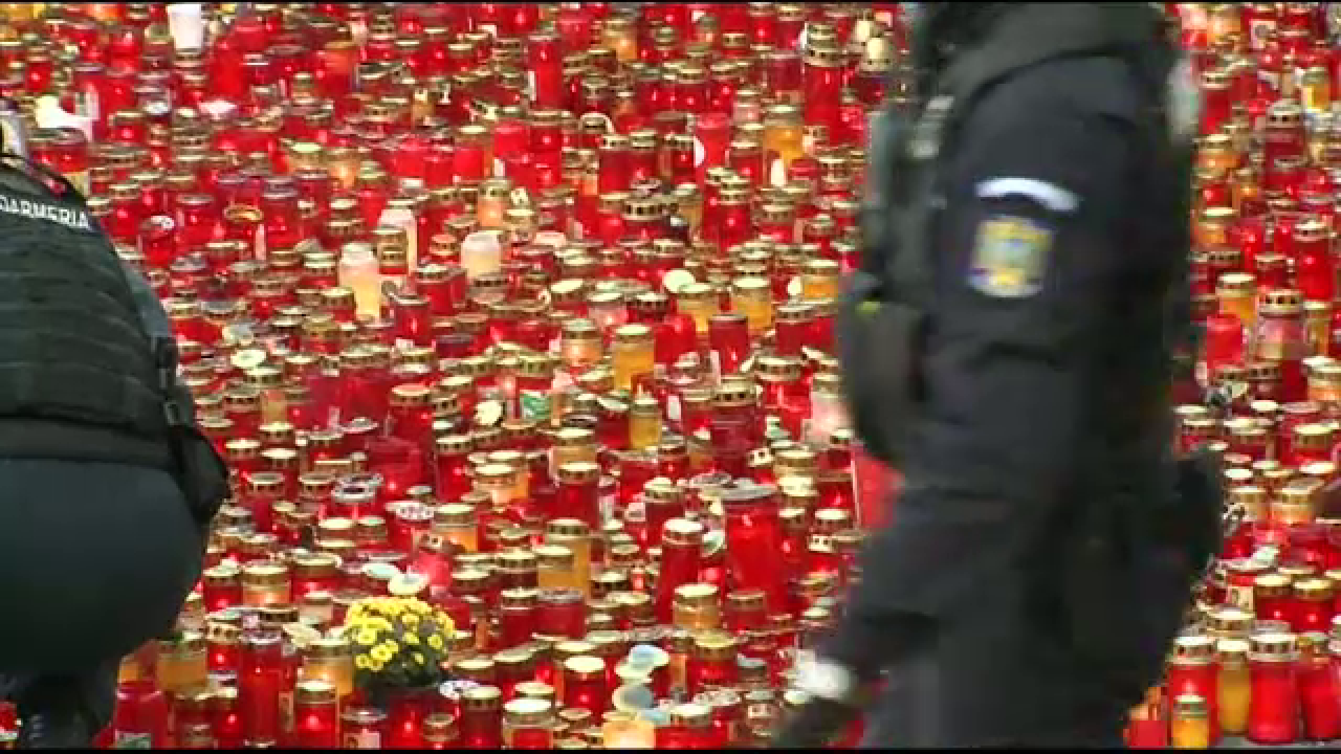 Povestea Alexandrei, a 30-a victima a dezastrului din clubul Colectiv. Prietenii se mobilizasera exemplar pe Facebook