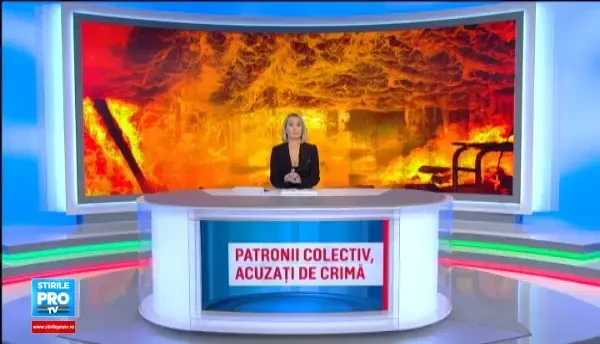 ANCHETA la Colectiv. Doi dintre patronii clubului au fost retinuti. Pe cine au aruncat toata vina cei trei actionari