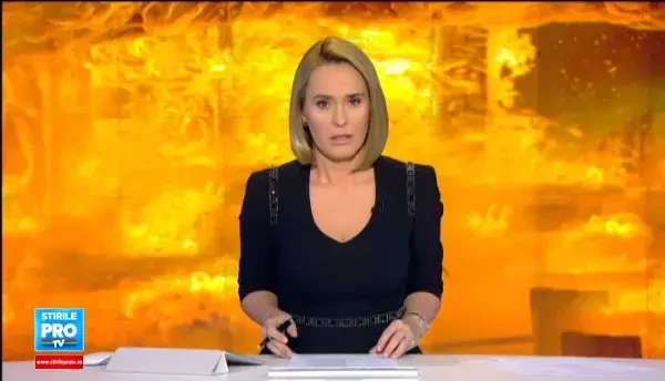 ANCHETA COLECTIV. Patron: Am curatat cu un aspirator inchiriat de pe OLX. Motivele pentru care procurorii cer arstarea lor