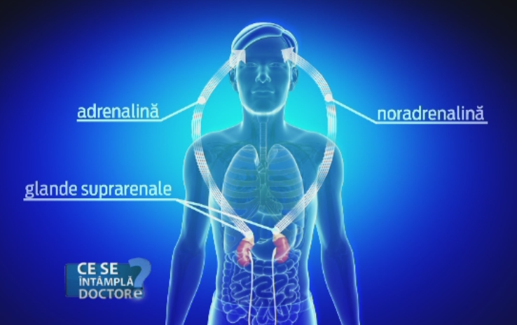 Ce se intampla in organism la o banala infectie respiratorie. Cand este gresit sa apelati la antiinflamatoare