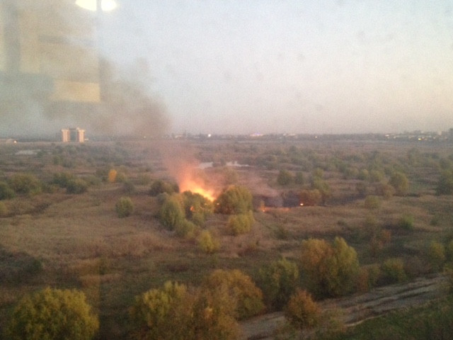 Incendiu de vegetatie in Parcul National Vacaresti. Doua masini de pompieri au fost trimise la fata locului. FOTO