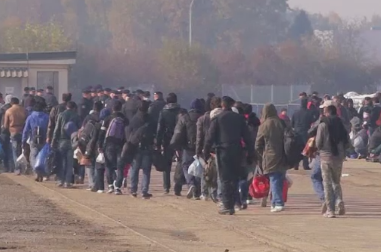 Trei milioane de imigranti ar putea ajunge in Uniunea Europeana pana in 2017. Care ar fi impactul asupra economiei