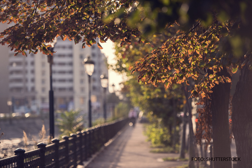 Temperaturile scad in toata tara, dar soarele nu intra in nori. Cum va fi vremea in week-end si luni
